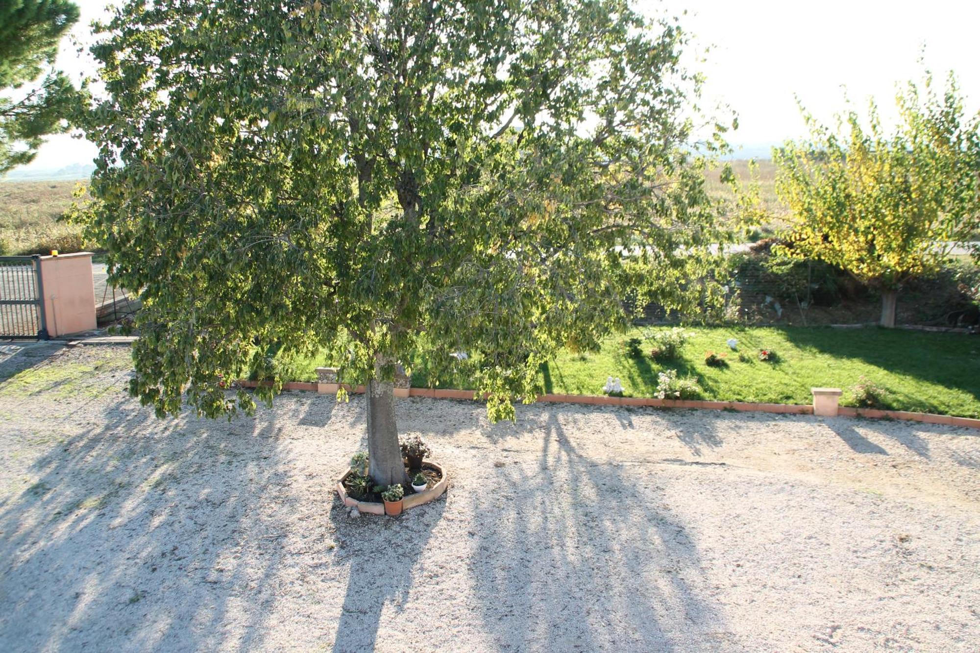 Pepe Rosa Bed & Breakfast Термоли Екстериор снимка